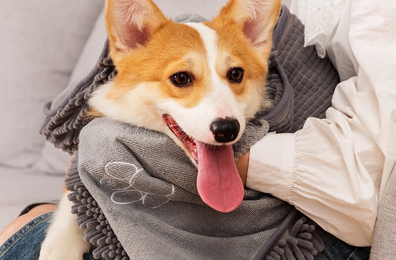 Safe Pet Bath Towel